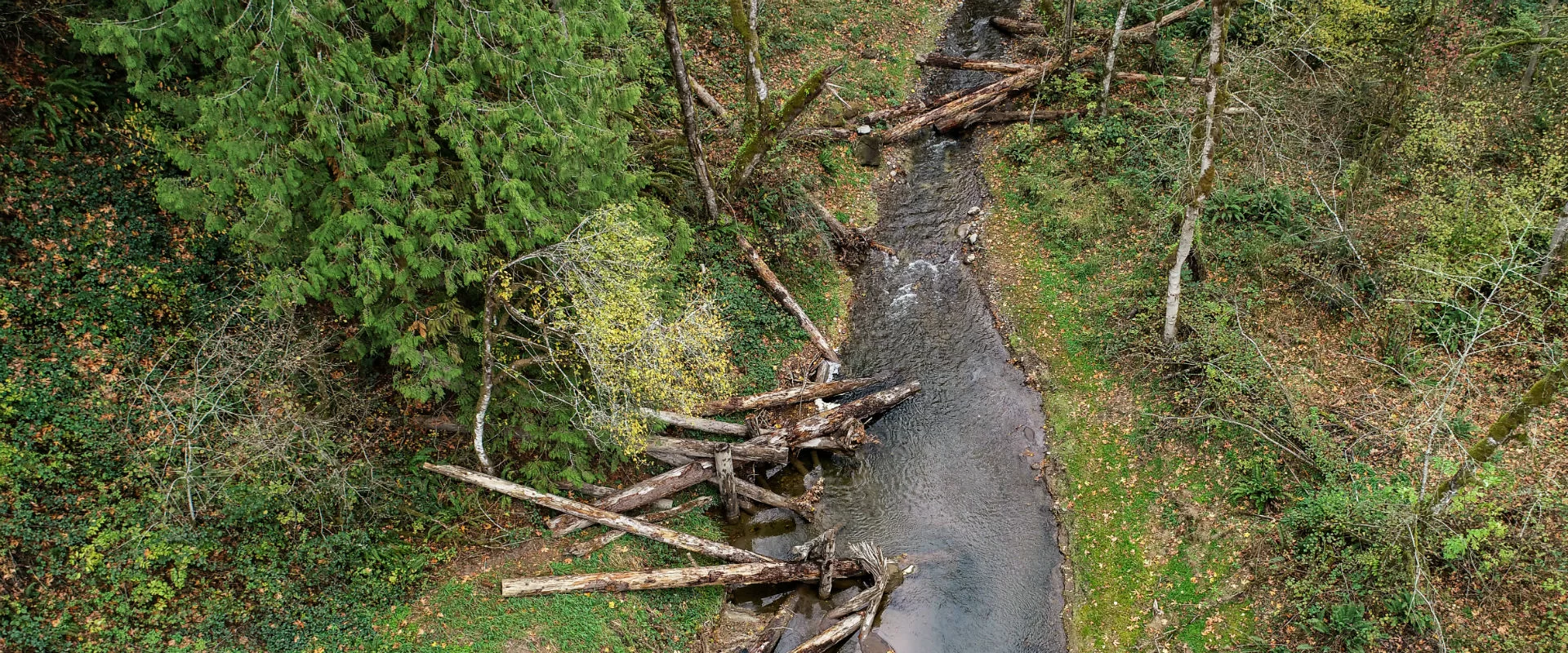 Oxbow Dabney Park
